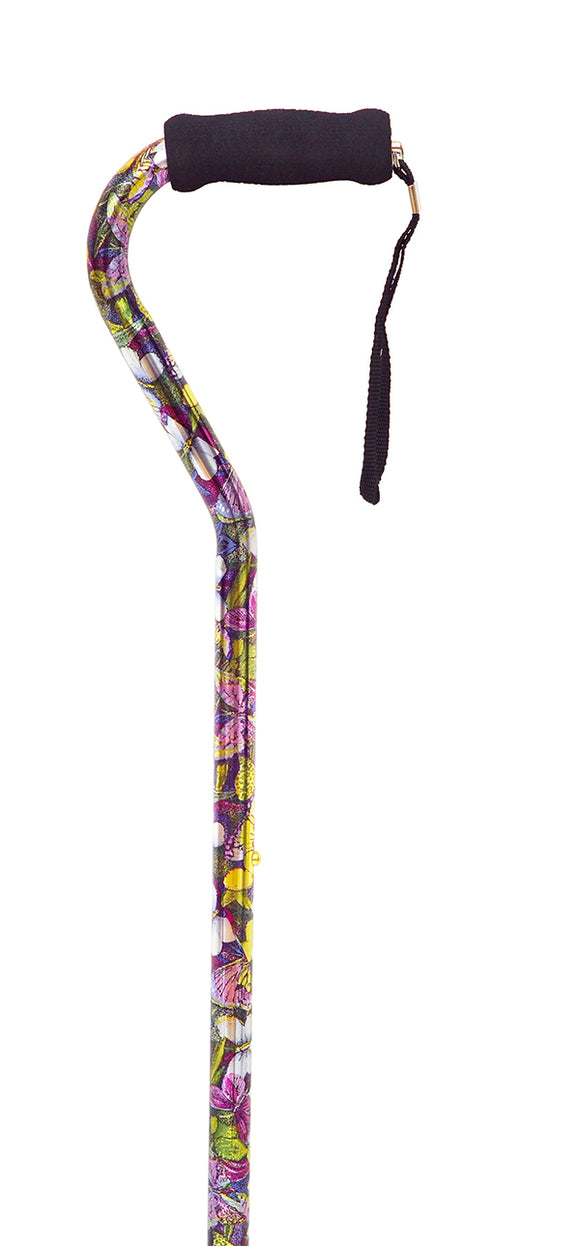 Cane
