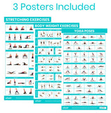 RHB2037 No Equipment Required Poster 3-Pack